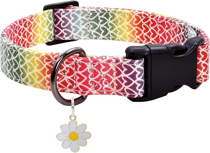 Colorful Heart Dog Collar with Pendant