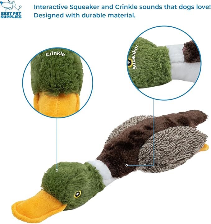 Best Pet Supplies Interactive Mallard Mates Dog Toy with Crinkle and Squeaky Enrichment for Small and Medium Breed Puppies or Dogs, Cute and Plush - Mallard Duck (Brown), Small