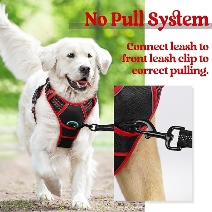 rabbitgoo Dog Harness, No-Pull Pet Harness with 2 Leash Clips, Adjustable Soft Padded Dog Vest, Reflective No-Choke Pet Oxford Vest with Easy Control Handle for Large Dogs, Black & Red, L