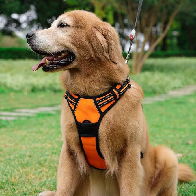 rabbitgoo Dog Harness, No-Pull Pet Harness with 2 Leash Clips, Adjustable Soft Padded Dog Vest, Reflective No-Choke Pet Oxford Vest with Easy Control Handle for Large Dogs,Orange,L