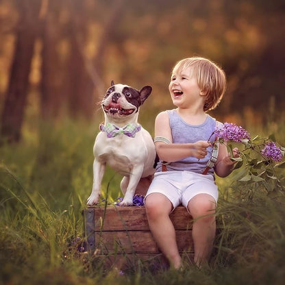 Elegant little tail Dog Collar with Bow
