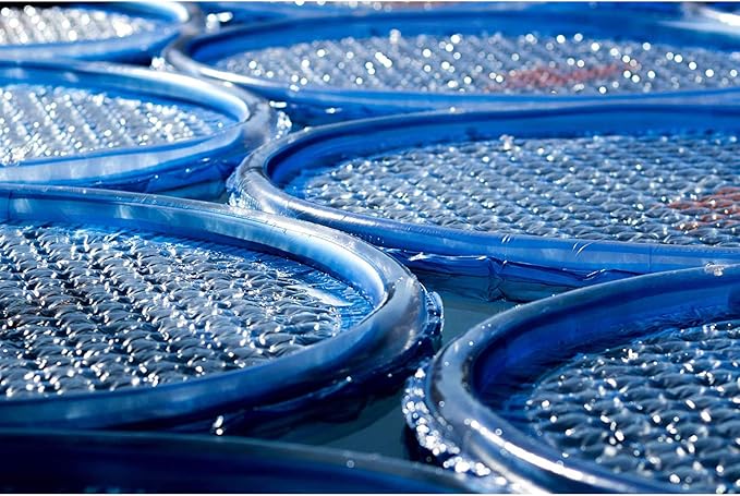 Solar Sun Rings UV Resistant Above Ground Inground Swimming Pool Hot Tub Spa Heating Accessory Circular Heater Solar Cover (9 Pack)