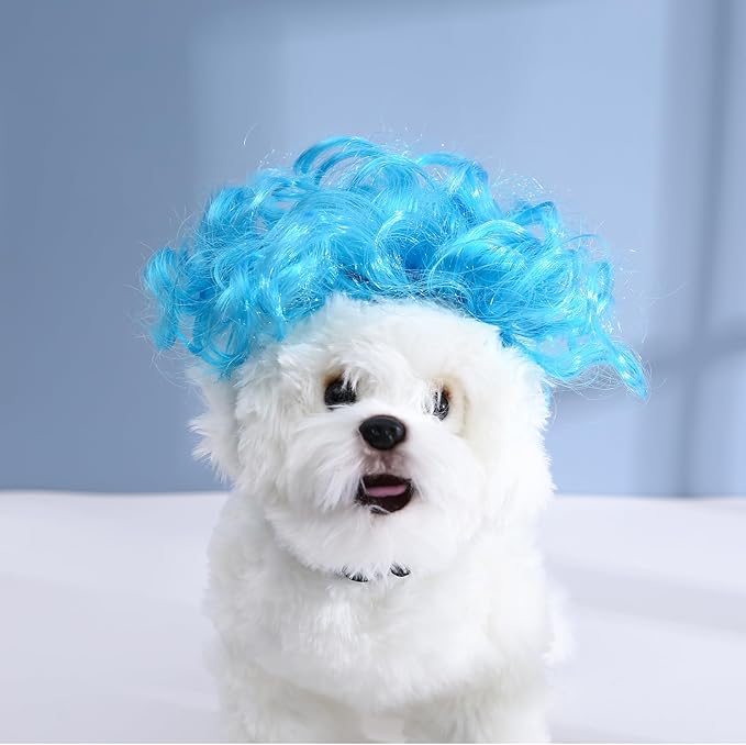 Funny Dog Cat Cosplay Wig, Headwear Apparel Toy, Pet Costumes, Cat Dress up for Halloween, Christmas, Parties, Festivals, Dog Wigs for Small Medium and Large Dogs (Explosive Blue)