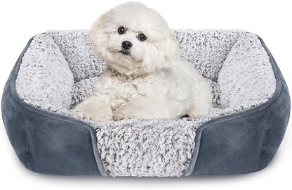 Dog Beds for Small Dogs