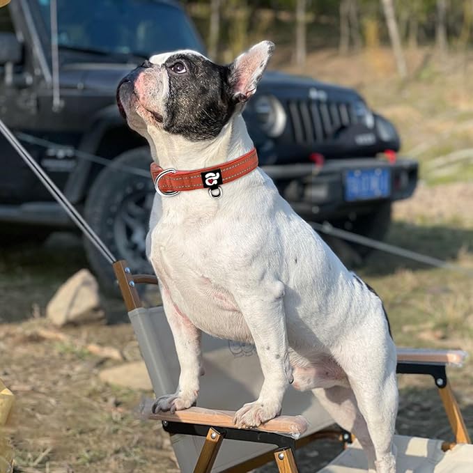 azuza Reflective Dog Collar