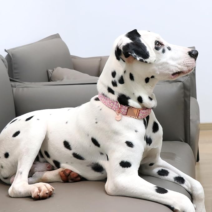 Daisy Summer Cotton Dog Collar with Metal Buckle