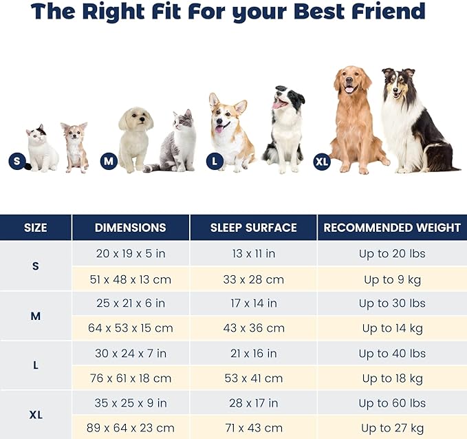 Miguel Dog Bed with Removable Cushion/Pillow for Medium Small Dogs 25 Inch