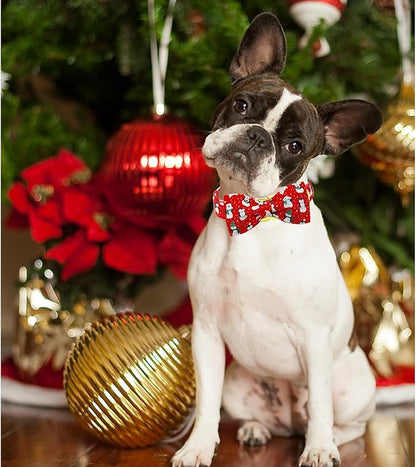 Lionheart glory Christmas Dog Collar, Red Dog Bow Collar Penguin Adjustable Soft and Comfortable Bowtie Collars for Large Dogs Girl or Boy Pet Gift Fall Collar Dog Bow