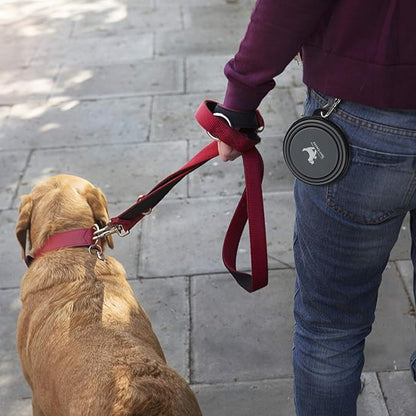 Collapsible Dog Bowls for Travel, 2-Pack Dog Portable Water Bowl for Dogs Cats Pet Foldable Feeding Watering Dish for Traveling Camping Walking with 2 Carabiners, BPA Free