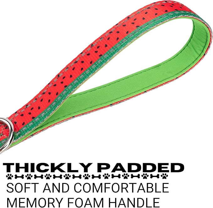 EcoBark Dog Leash - Soft & Reflective Comfort Leash with Padded Handle - Strong Durable Heavy Duty - Training and Pulling for Small, Medium or Large Dogs (Watermelon)