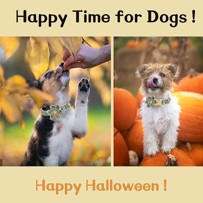 Unique style paws Halloween Dog Collar with Flower