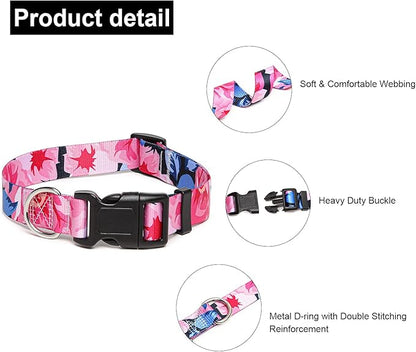 Adjustable Dog Collar with Patterns