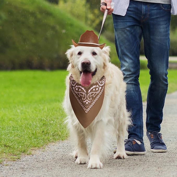 choyaxo Dog Cowboy Hat Dog Cowboy Costume for Small Pet Dogs Cat Cowboy Hat with Bandana Scarf Set Party Accessories (Brown)