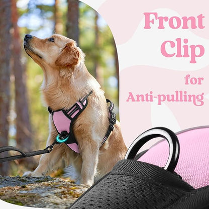 rabbitgoo Dog Harness Small Sized, No Pull Pet Harness with 3 Buckles, Adjustable Soft Padded Dog Vest with Instant Control Handle, Easy Walking Reflective Pet Vest for Small Dogs, Pink, S