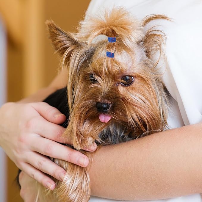 100 PCS Dog Hair Ties