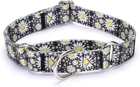 Martingale Dog Collars - Flower Multicolor Cute Patterns, Adjustable Nylon Training Dog Collar Suitable for Boy and Girl Dogs Medium Large Dogs (L, Yellow)