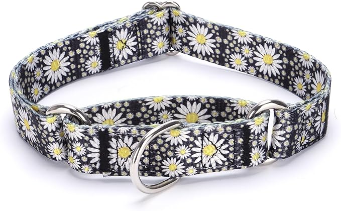 Martingale Dog Collars