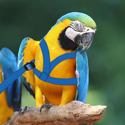 2 pcs Pet Parrot Bird Harness and Leash, Adjustable Training Design Anti-Bite, Outdoor Flying Training Rope Kit for Bird Parrots Fits Birds Chest Between24-51cm /9.45-20inch - M (Blue)