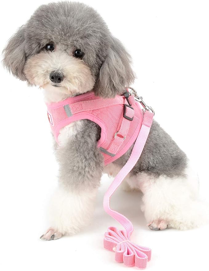 Zunea No Pull Dog Harness and Leash Set for Small Sized Dogs Adjustable Reflective Puppy Boy Girl Vest Harnesses Soft Corduroy Mesh Padded Step-in Cat Harness for Pet Chihuahua Pink S