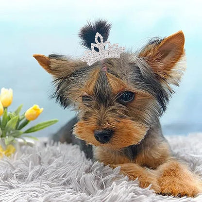 PET SHOW 1pc/Pack Dog Tiara Crown Hair Clips