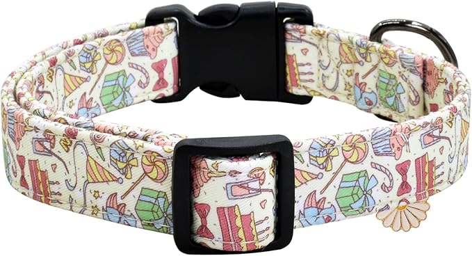 Flower Patterns Dog Collar with Accessories