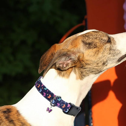 Flower Patterns Dog Collar with Accessories Dogs(Butterfly2 M)