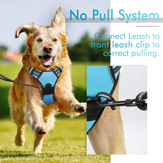 rabbitgoo Dog Harness, No-Pull Pet Harness with 2 Leash Clips, Adjustable Soft Padded Dog Vest, Reflective No-Choke Pet Oxford Vest with Easy Control Handle for Large Dogs, Blue, XL