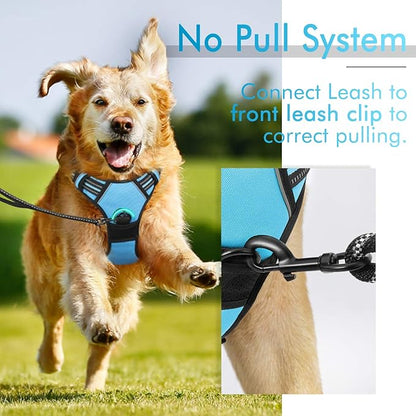 rabbitgoo Dog Harness 2 Leash