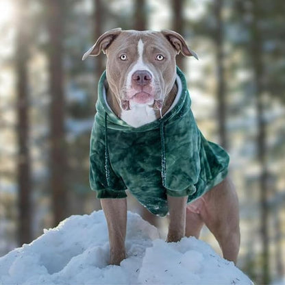 Spark Paws Dog Hoodie