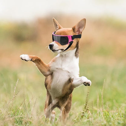 ENJOYING Dog Sunglasses Small Dog Goggles Anti-UV Doggy Glasses for Small Dogs Big Cats Impact/Wind/Dust/Fog Proof Puppy Eye Protection
