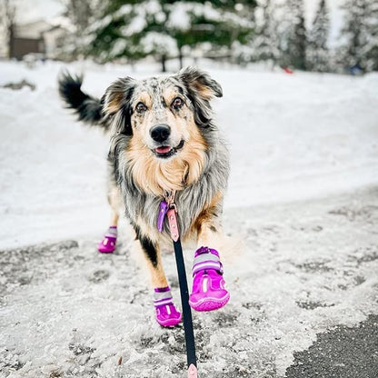 QUMY Dog Shoes for Large Dogs, Medium Dog Boots & Paw Protectors for Winter Snowy Day, Summer Hot Pavement, Waterproof in Rainy Weather, Outdoor Walking, Indoor Hardfloors Anti Slip Sole Purple Size 7