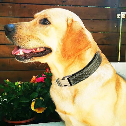 CHEDE Reflective Dog Collar