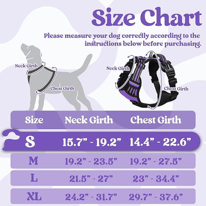 rabbitgoo Dog Harness Small Sized, No Pull Pet Harness with 3 Buckles, Adjustable Soft Padded Dog Vest with Instant Control Handle, Easy Walking Reflective Pet Vest for Small Dogs, Purple, S