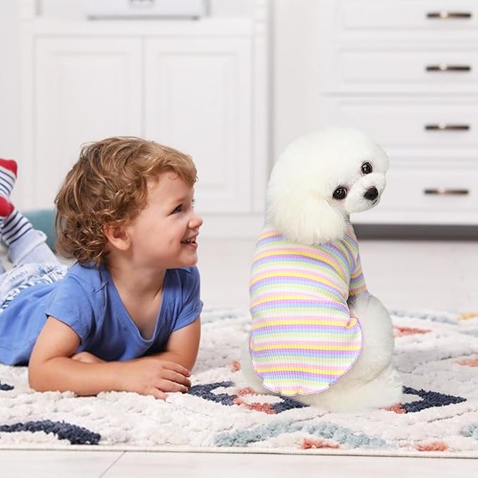 Small Medium Dog Clothes Rainbow Striped Dog Shirts Stretchable Long Sleeve Cat T-Shirt Pet Outfits for Chihuahua Yorkie Teddy (Purple Edge, Small)