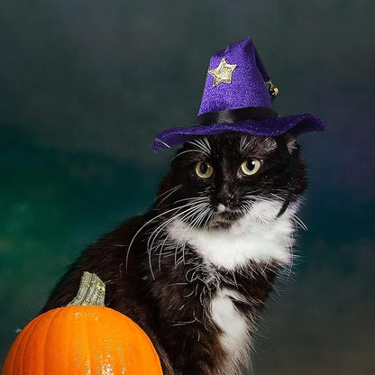 NAMSAN Cat Witch Hat