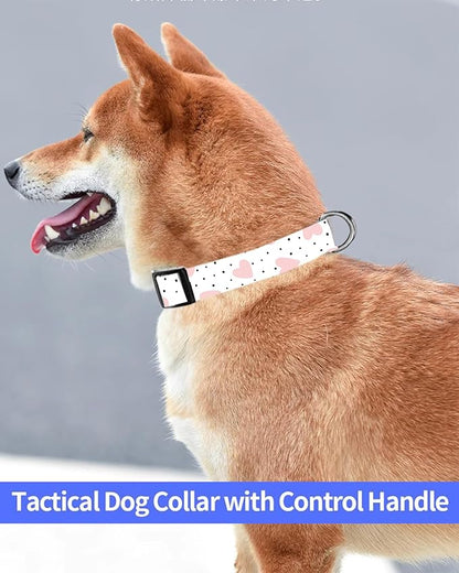 Dog Collar
