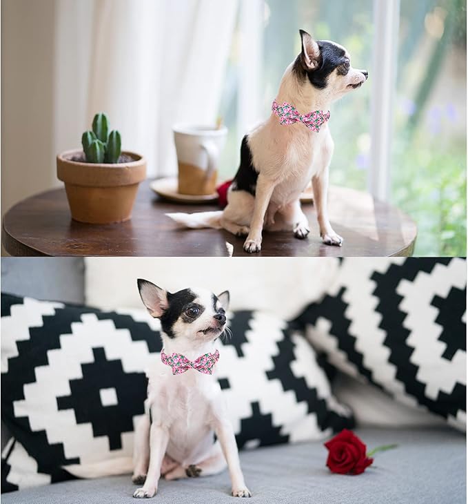 Unique style paws Dog Collar with Bowtie Pink