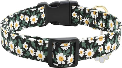 Flower Patterns Dog Collar with Accessories