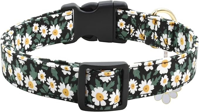 Flower Patterns Dog Collar with Accessories