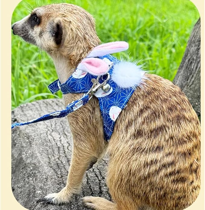 Ferret Harness and Leash Set with Bell Ferret Clothes Small Animals Accessories Bunny Ears Costume for Ferret Baby Rabbit Guinea Pig and Small pet Blue