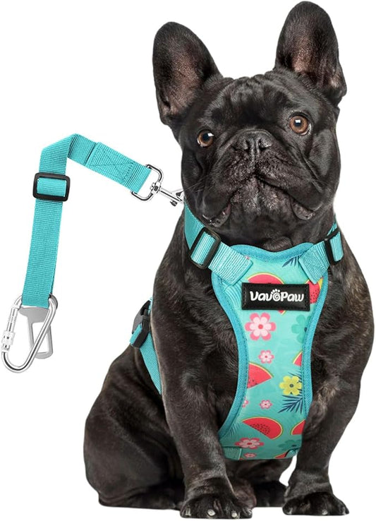 Dog Vehicle Safety Vest Harness, Adjustable Soft Padded Mesh Car Seat Belt Leash Harness with Travel Strap and Carabiner for Most Cars, Medium Size, Lake Blue Flower