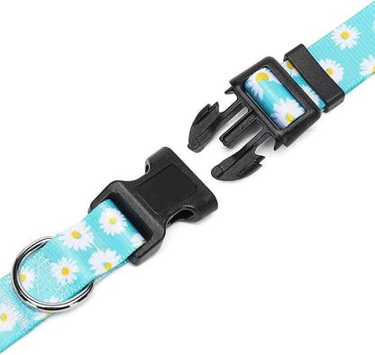 Adjustable Dog Collar with Patterns