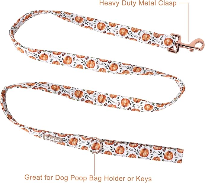 Halloween Dog Leash Durable Handmade Orange Gold Pumpkin 150cm