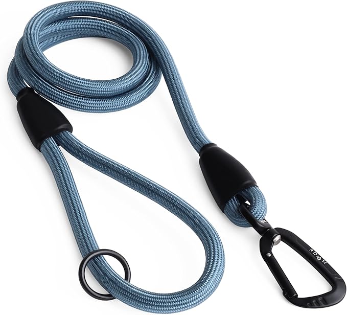 MADE TO ROAM Premium Everyday Leash 6ft (Metal
