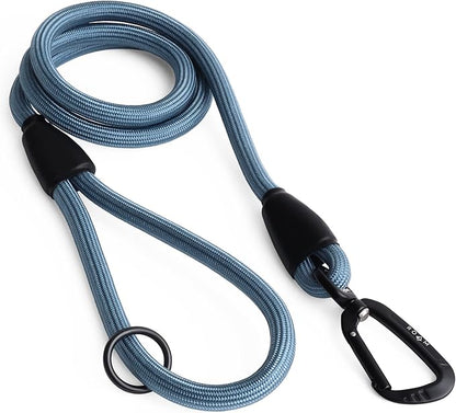 MADE TO ROAM Premium Everyday Leash 6ft (Metal