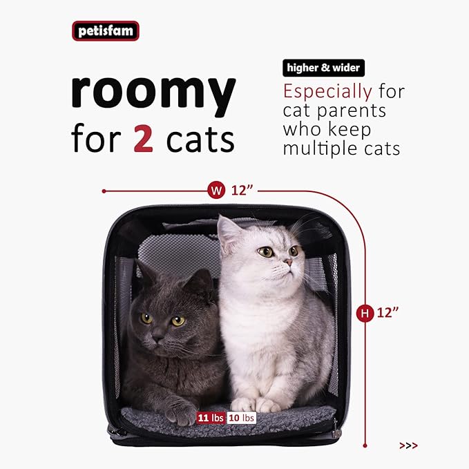 petisfam Soft Pet Carrier Bag for Medium or Large Cats (Large, Black w/Red Trim)