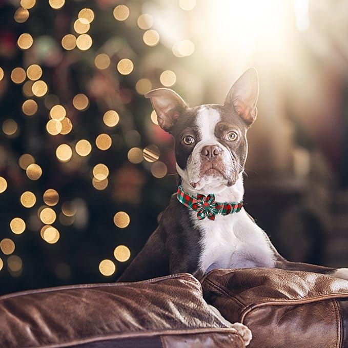 Elegant little tail Dog Collar with Flower