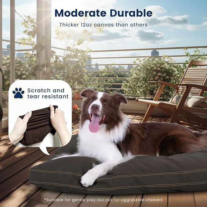 Miguel Durable Canvas Dog Bed 12 Ounce 100% Cotton 40 x 30 inch,