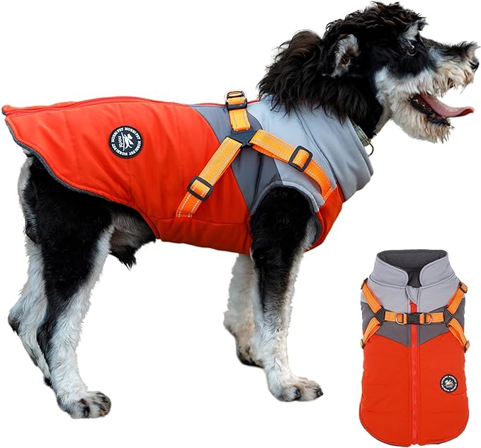 Norbi Dog Winter Coat 2 in 1 Dog