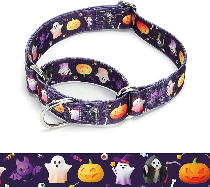 Martingale Dog Collars - Flower Multicolor Cute Patterns, Adjustable Nylon Training Dog Collar Suitable for Boy and Girl Dogs Medium Large Dogs (18, L)